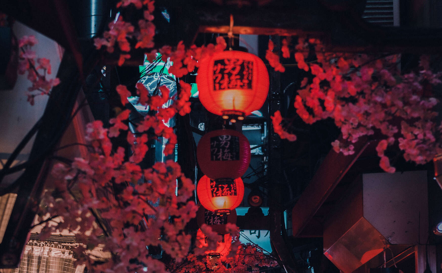 Sakura Night takes you on a trip to Japan